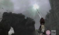 Shadow of The Colossus