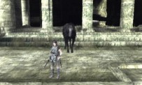 Shadow of The Colossus