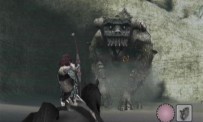 Shadow of The Colossus