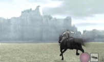 Shadow of The Colossus