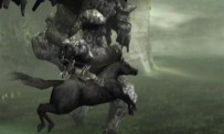 Shadow of The Colossus