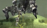 Shadow of The Colossus