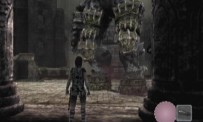 Shadow of The Colossus