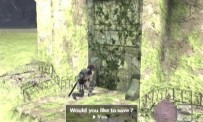 Shadow of The Colossus