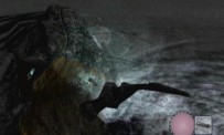 Shadow of The Colossus