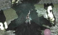 Shadow of The Colossus