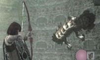 Shadow of The Colossus