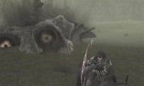 Shadow of The Colossus