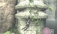 Shadow of The Colossus