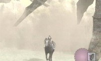 Shadow of The Colossus