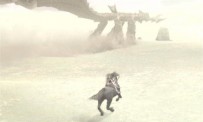 Shadow of The Colossus