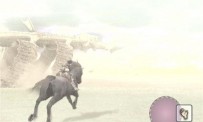 Shadow of The Colossus