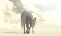 Shadow of The Colossus