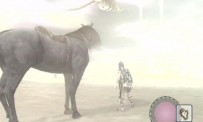 Shadow of The Colossus