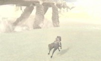 Shadow of The Colossus