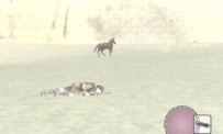 Shadow of The Colossus