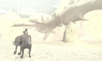 Shadow of The Colossus