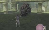 Shadow of The Colossus