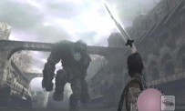 Shadow of The Colossus