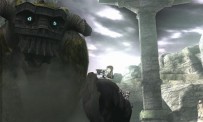 Shadow of The Colossus