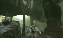 Shadow of The Colossus