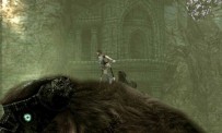 Shadow of The Colossus