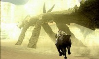 Shadow of The Colossus