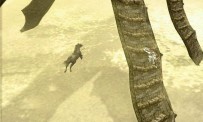 Shadow of The Colossus