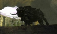 Shadow of The Colossus