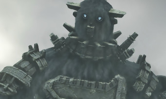 Shadow of the Colossus PS4 : une vidéo avec des graphismes de fou