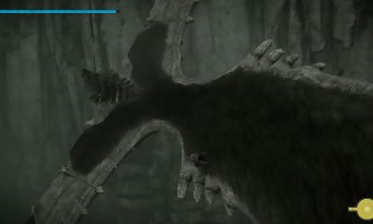 Shadow of the Colossus PS4