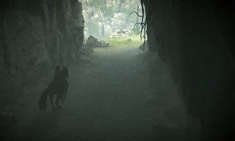 Shadow of the Colossus PS4