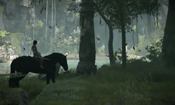 Shadow of the Colossus PS4