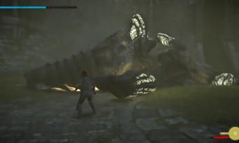 Shadow of the Colossus PS4