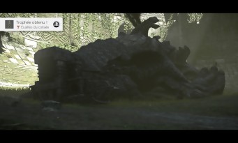 Shadow of the Colossus PS4