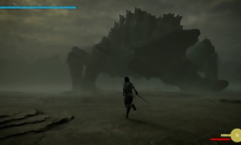 Shadow of the Colossus PS4