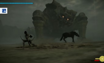 Shadow of the Colossus PS4