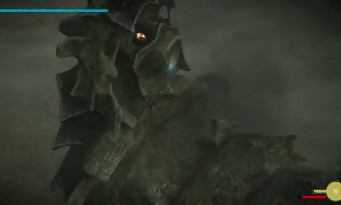 Shadow of the Colossus PS4