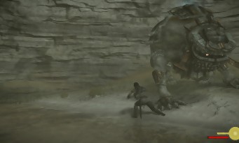 Shadow of the Colossus PS4