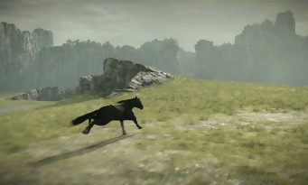 Shadow of the Colossus PS4