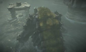 Shadow of the Colossus PS4