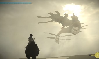 Shadow of the Colossus PS4