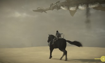 Shadow of the Colossus PS4