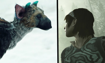 Shadow of the Colossus : comment trouver le Easter Egg "Last Guardian"