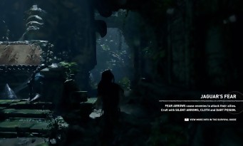 Shadow of the TOMB RAIDER