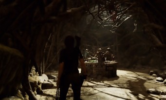 Shadow of the TOMB RAIDER