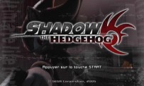 Shadow The Hedgehog