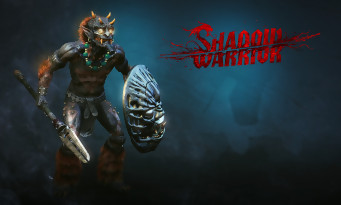 Shadow Warrior