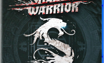 Shadow Warrior