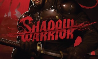 Shadow Warrior